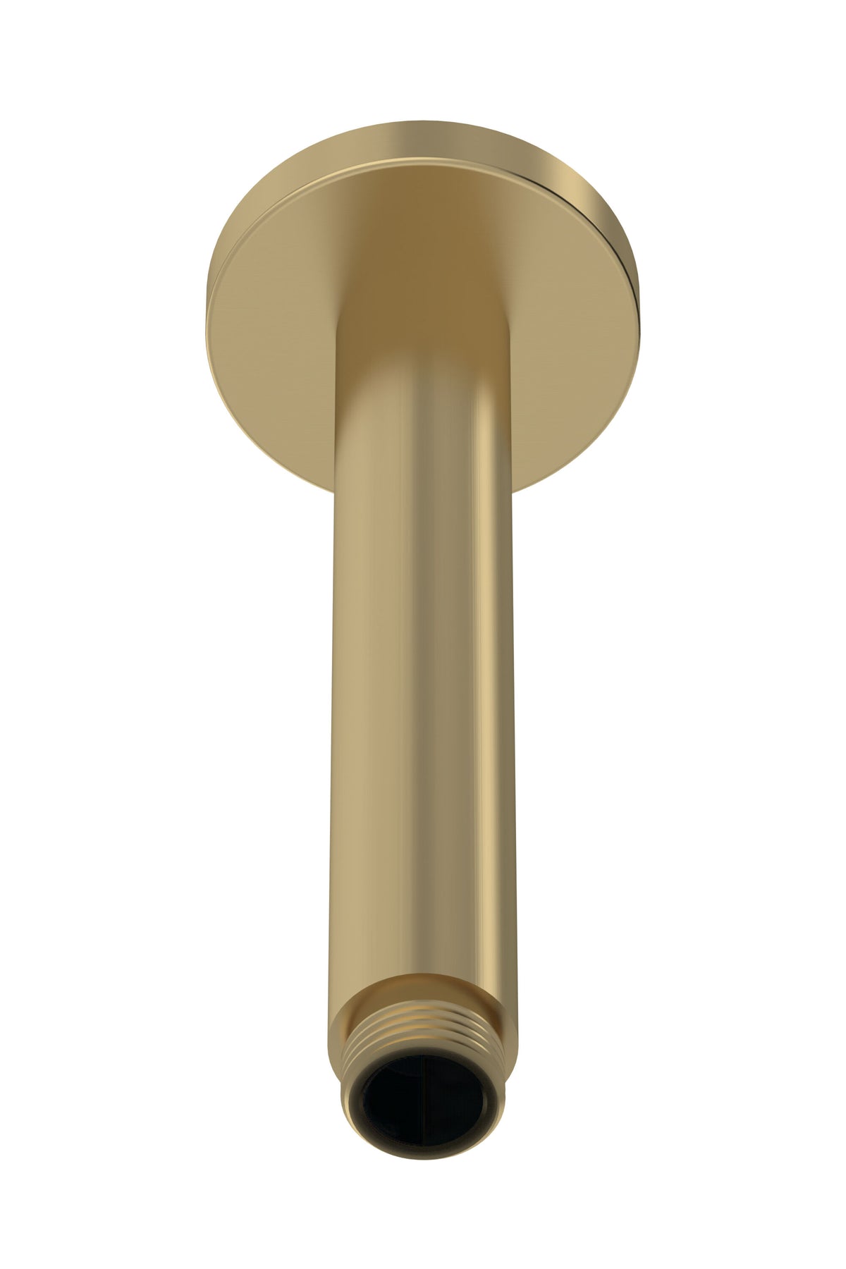 Nuie Wall-Mounted Shower Arm