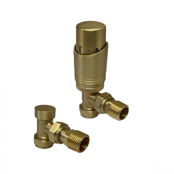 Design Twin Pack TRV Brushed Brass Angled - BR-TRV301A