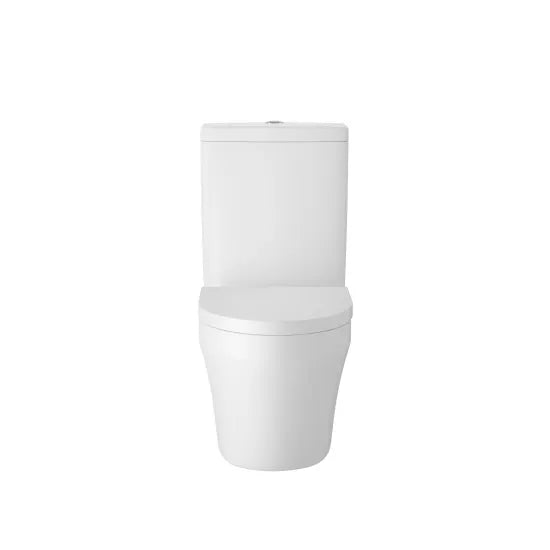 Luna Flush to Wall Toilet With Seat