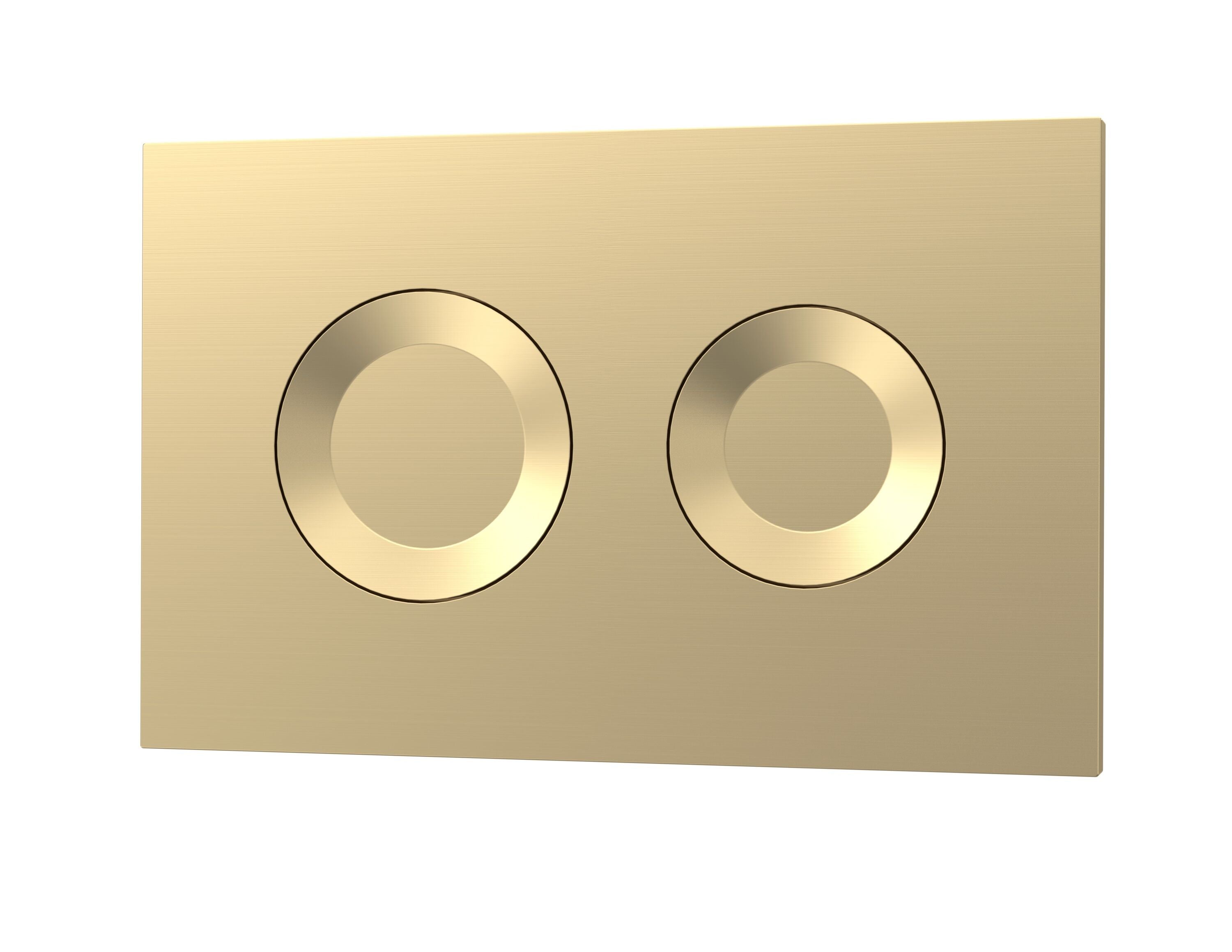 Round Brushed Brass Dual Flush Push Button